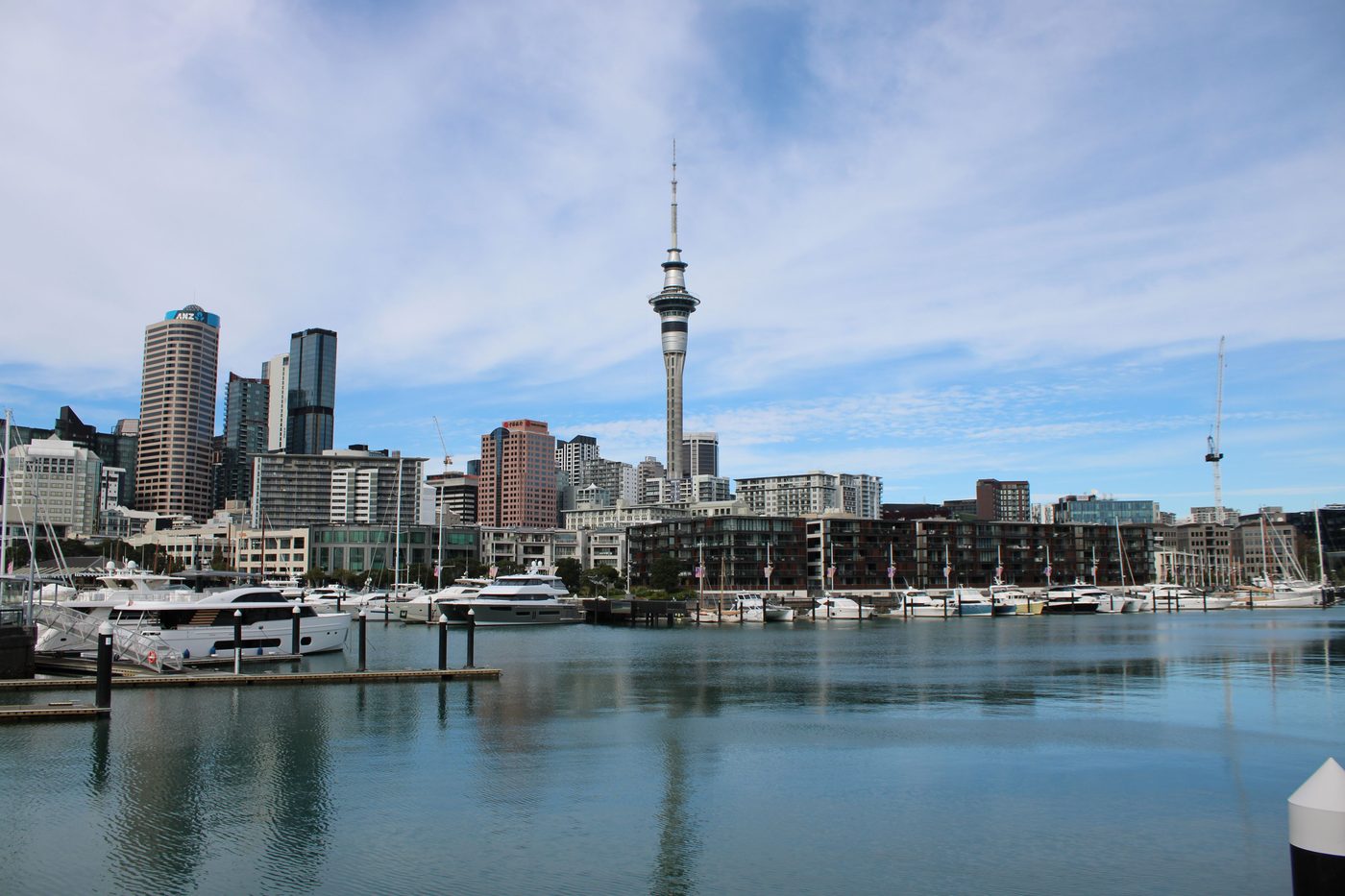 Auckland skyline and marina