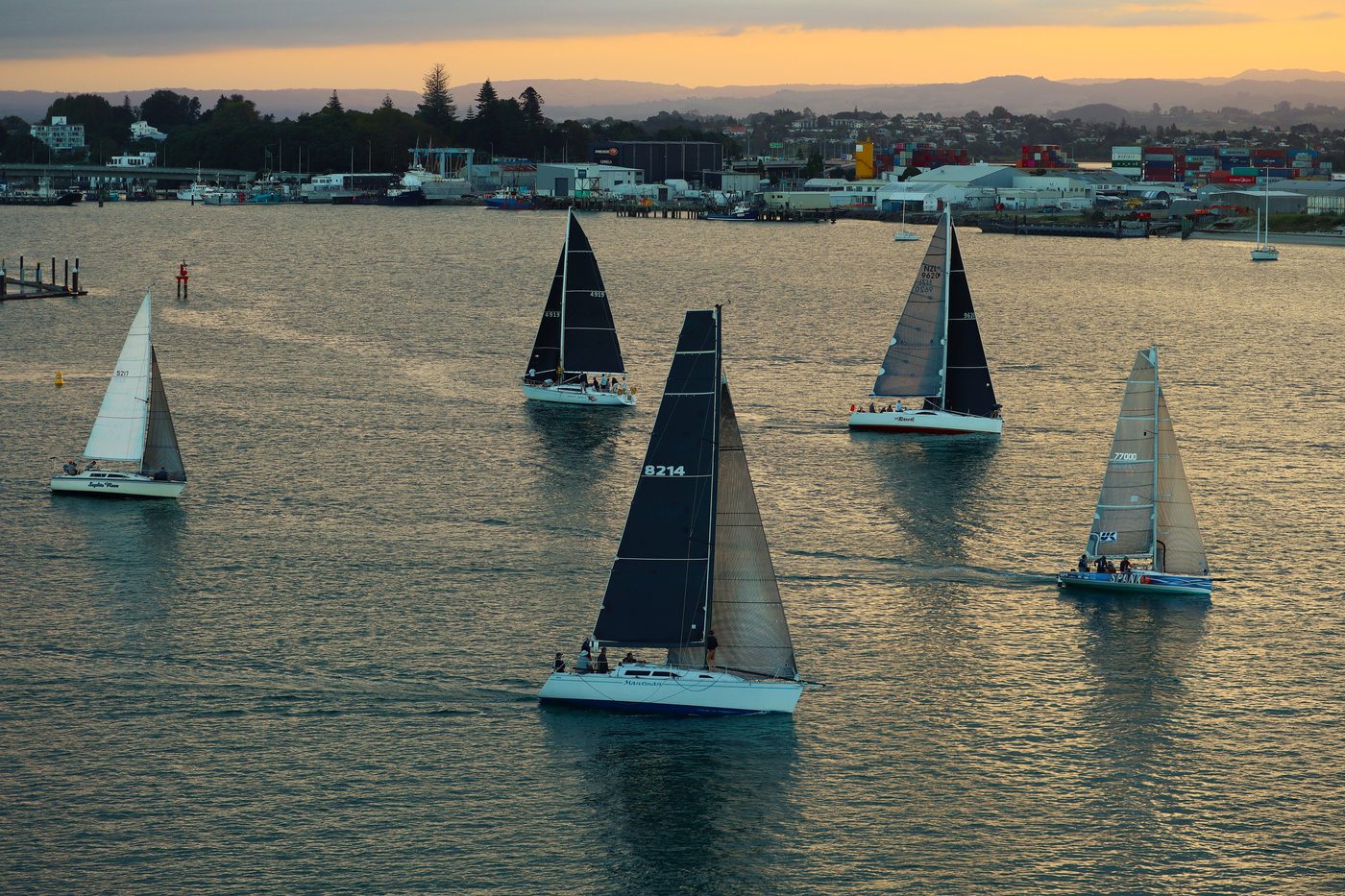 Sailing boats at sunset, Tauranga