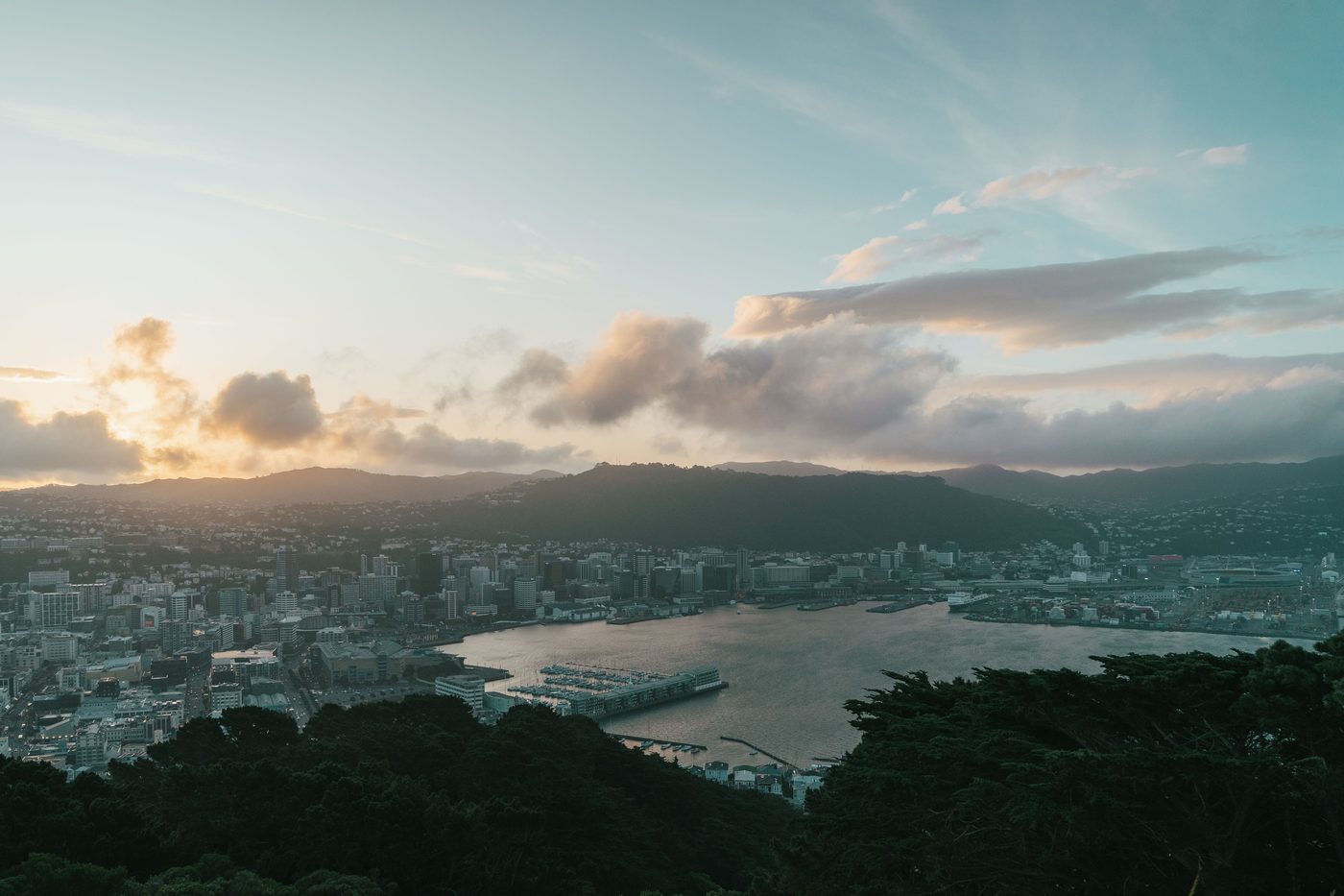 Aerial view of Wellington Harbour