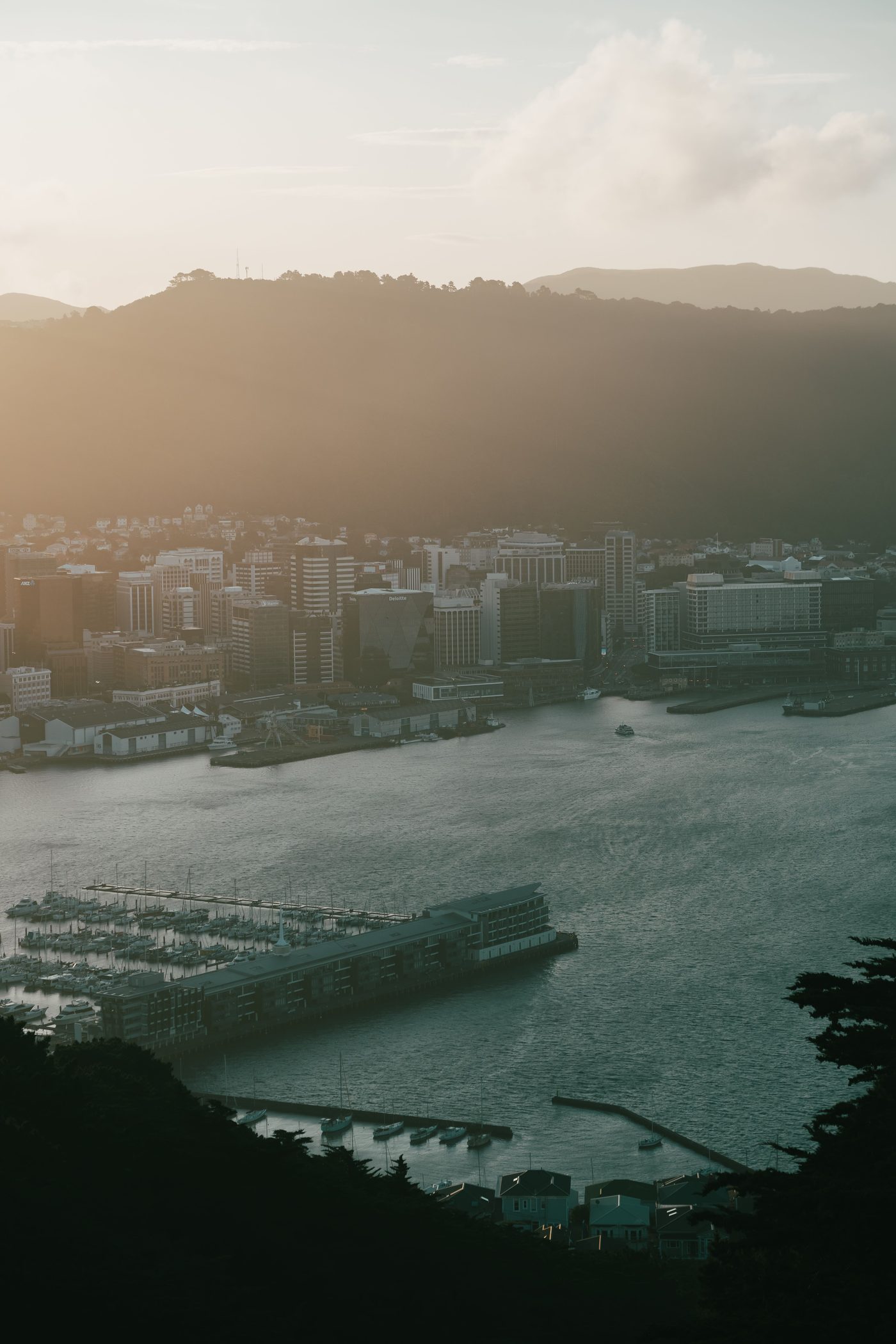 Wellington Harbour from Mt Victoria