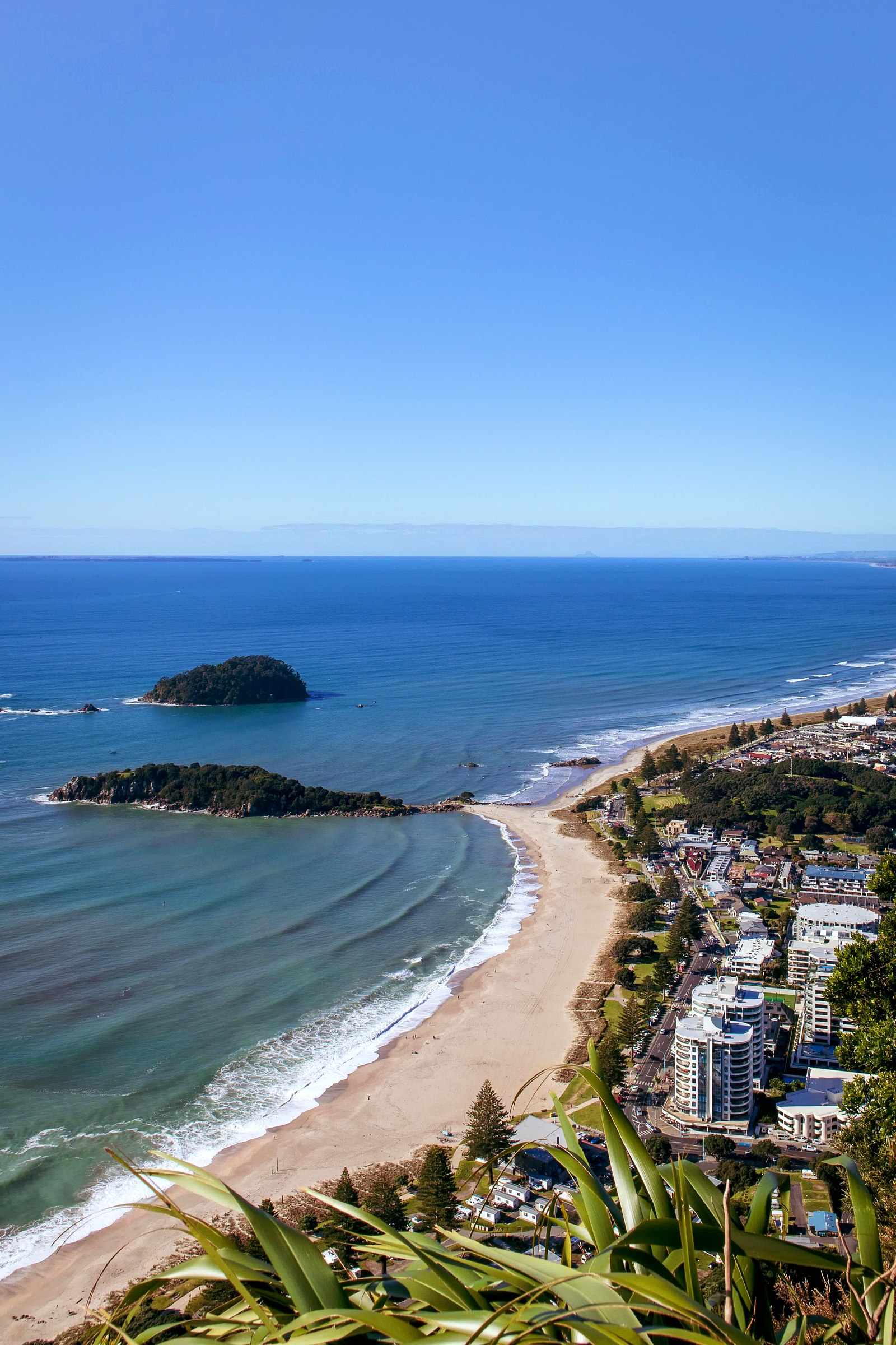 Tauranga